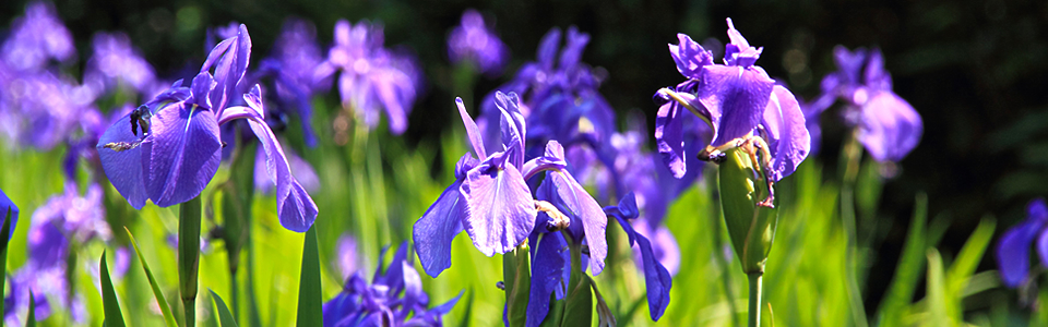 愛知県中小企業福祉協会