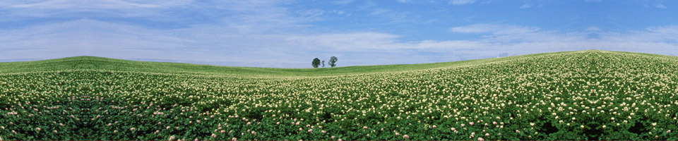 愛知県中小企業福祉協会